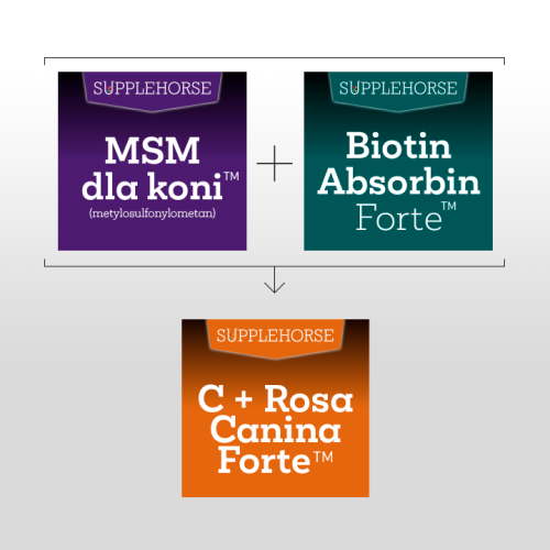 Biotyna+ MSM+ Witamina C-zestaw promocyjny 