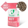 Pro-Linen® Beet Quick™ 15 kg -szybkie i zbilansowane wysłodki buraczane niemelasowane