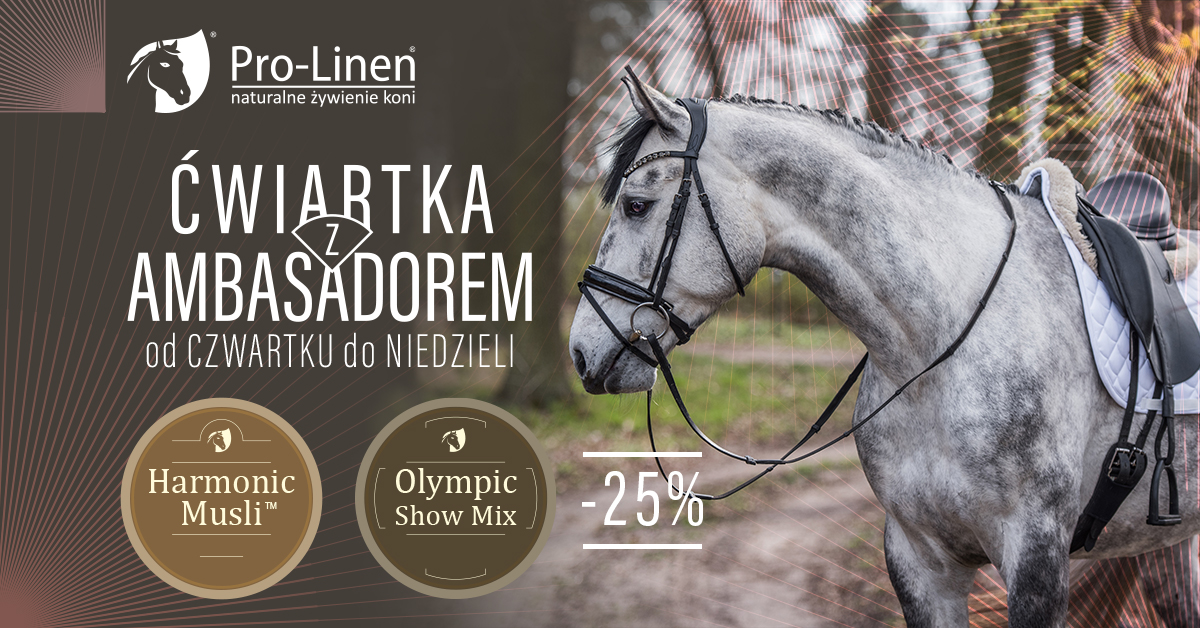 Ćwiartka z Ambasadorem Olympic&Harmonic